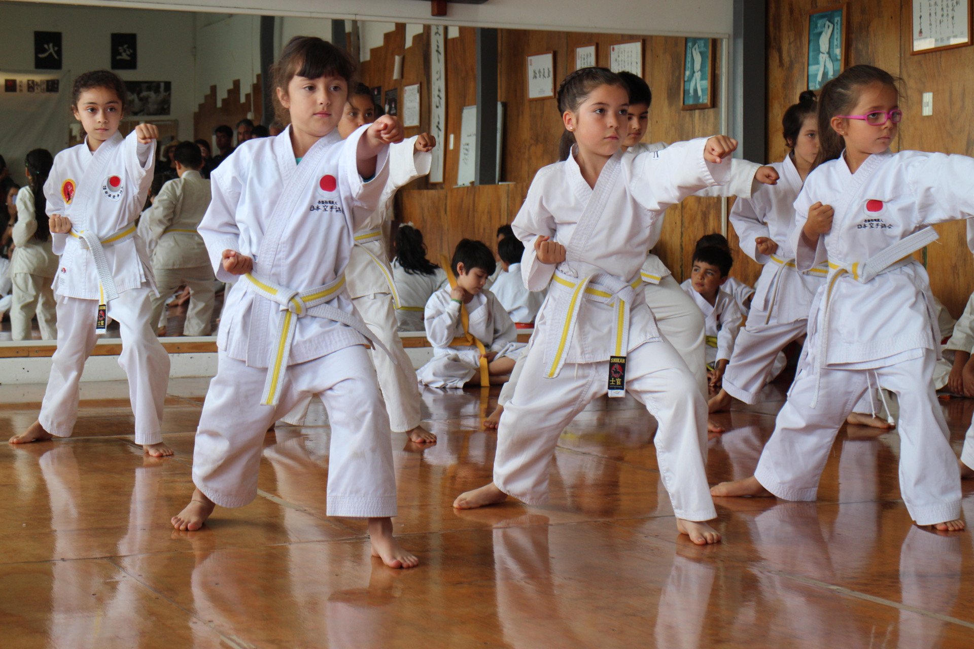 Programa de karate Pre-infantil